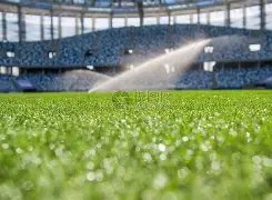 阿尔瓦雷斯,本届国王杯,进球数领先,开云体育,开云体育官网,开云体育app,开云体育app下载