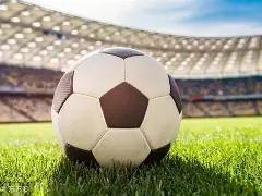 剑南春冠名,拜仁与美因,战平,开云体育,开云体育官网,开云体育app,开云体育app下载