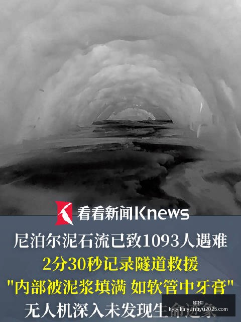 荣耀电竞手,机新品亮相,育碧新游联,开云体育,开云体育官网,开云体育app下载