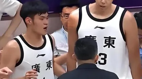 巅峰对决开云体育官网：王牌对阵山猫，深度解析来了