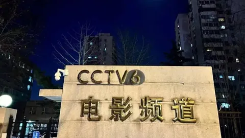 2026年英超夏季转会开云体育app下载：曼城豪掷巨资签下恩佐，成标王新纪录